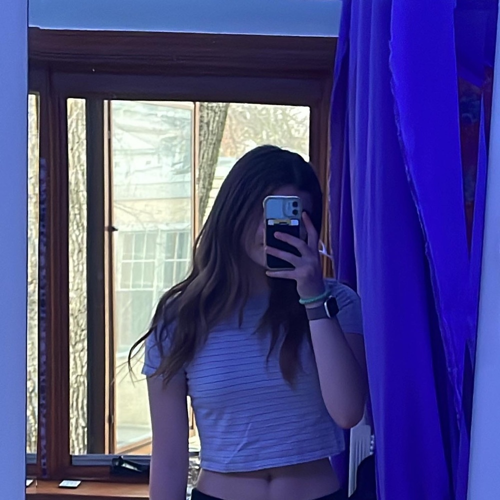 Brandy Melville Cropped Tee